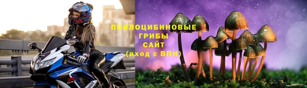 прущий лед Аркадак