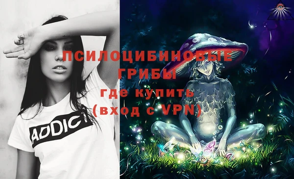 прущий лед Аркадак