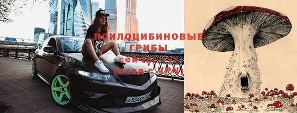 a pvp Арсеньев