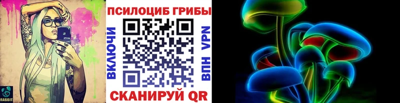 Галлюциногенные грибы мицелий  Купить где  Невьянск 