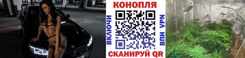 Бошки марихуана MAZAR  Купить закладки  Невьянск 